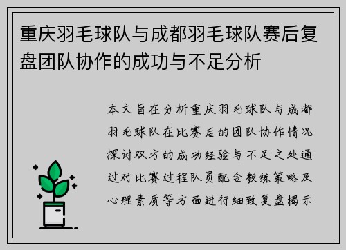 重庆羽毛球队与成都羽毛球队赛后复盘团队协作的成功与不足分析
